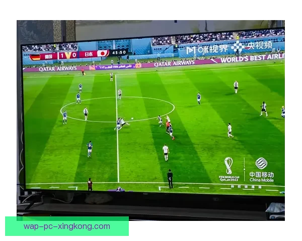 海盗足球直播平台深度解析全球赛事高清观赛新体验指南与趋势全面